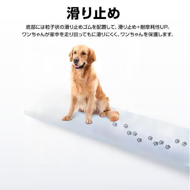 ドッグ 靴下 肉球 保護 シール 48枚入 犬靴 犬 滑り止め 肉球パッド ペット 足裏 怪我防止 シリコン 防水 フローリング < インテリア/ライフ  ドッグ 靴下 肉球 保護 シール 48枚入 犬靴 犬 滑り止め 肉球パッド ペット 足裏 怪我防止 シリコン 防水 フローリング < インテリア/ライフの