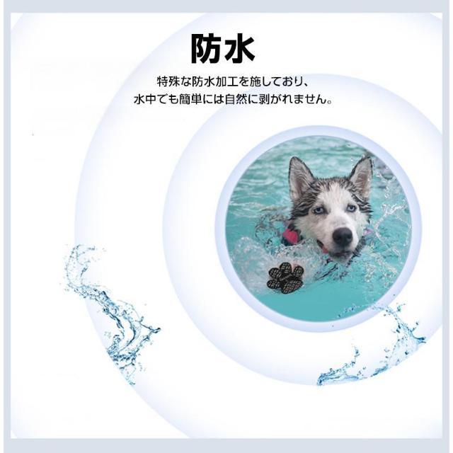 ドッグ 靴下 肉球 保護 シール 48枚入 犬靴 犬 滑り止め 肉球パッド ペット 足裏 怪我防止 シリコン 防水 フローリング < インテリア/ライフ  ドッグ 靴下 肉球 保護 シール 48枚入 犬靴 犬 滑り止め 肉球パッド ペット 足裏 怪我防止 シリコン 防水 フローリング < インテリア/ライフの