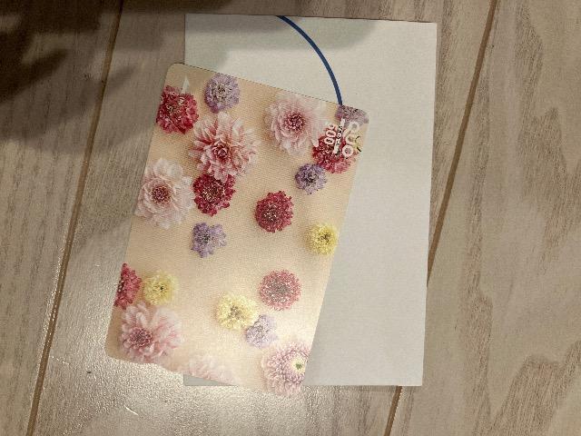 NIJ[h QUOJ[h NIJ 500~ ꖇ   `Pbg/ 