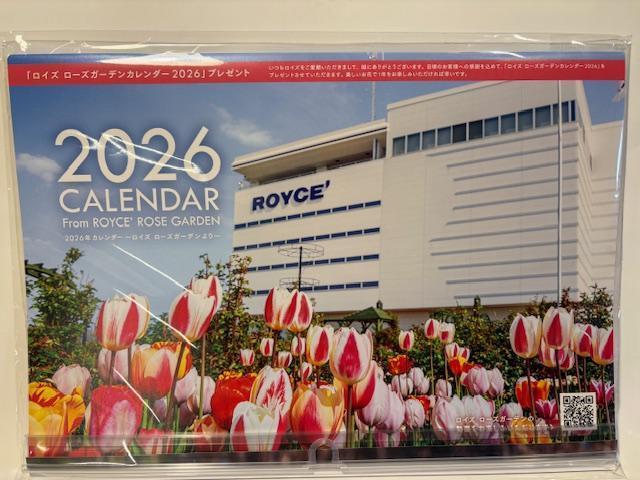 CY ROYCEf@CY[YK[f J_[2026   zr[ 