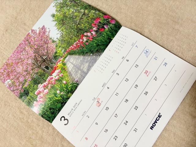 CY ROYCEf@CY[YK[f J_[2026  zr[ 