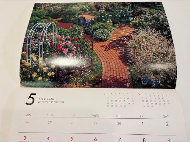 CY ROYCEf@CY[YK[f J_[2026  zr[ 