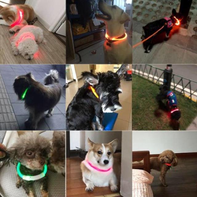 送料込#新品#光る首輪 犬用 首輪 犬 充電式 LEDライト USB充電式 < ペット/手芸/園芸  送料込#新品#光る首輪 犬用 首輪 犬 充電式 LEDライト USB充電式  < ペット/手芸/園芸の