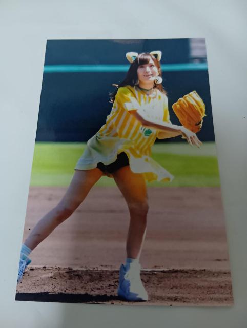 �R�{�ʎʐ^  �� �^�����g�O�b�Y�� 