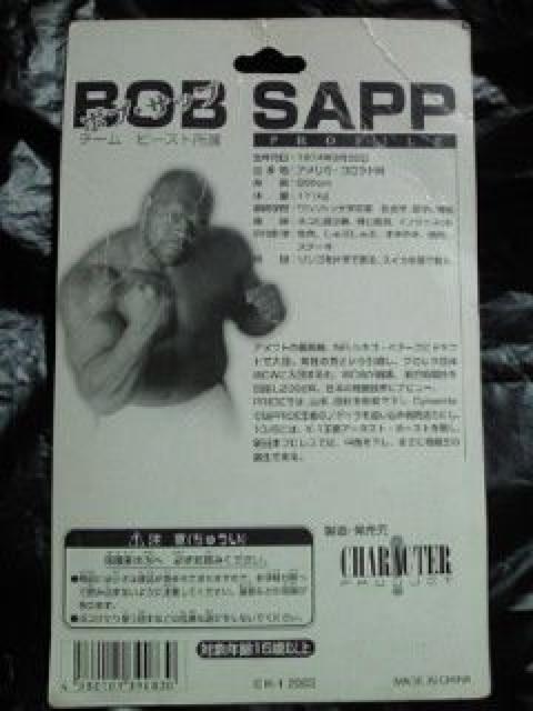 K-1 `[ r[Xg {uTbv BOB SAPP iZ tBMA O[ut  zr[ 