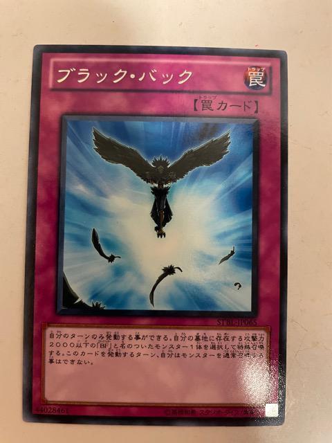 遊戯王【罠・ブラックバック】 < トレーディングカード  遊戯王【罠・ブラックバック】  < トレーディングカードの