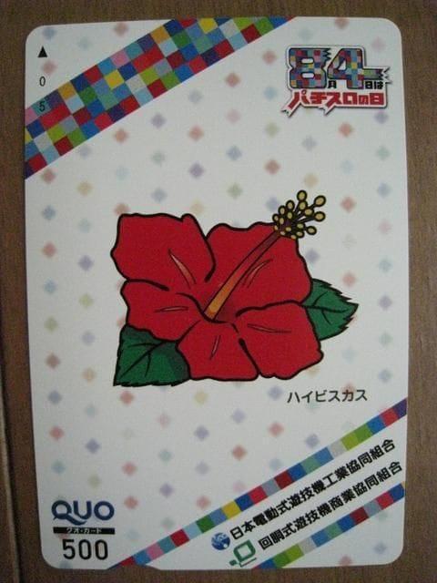 レア!パチスロ キャラ クオカード♪ハイビスカス < チケット/金券 レア!パチスロ キャラ クオカード♪ハイビスカス < チケット/金券の