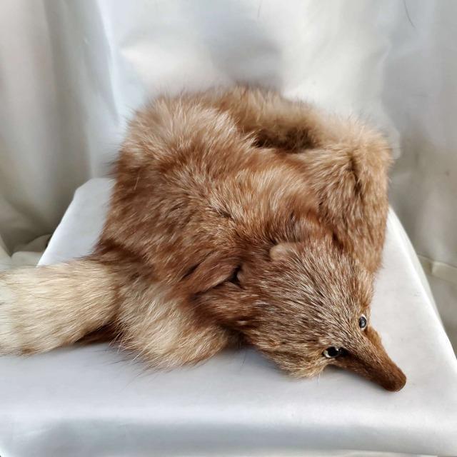 ���݁����A���t�@�[����t���t�H�b�N�X�}�t���[�� �� �����t�@�b�V������ 