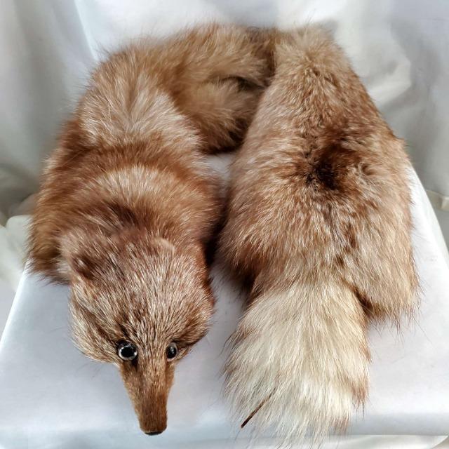 ���݁����A���t�@�[����t���t�H�b�N�X�}�t���[�� �� �����t�@�b�V������ 