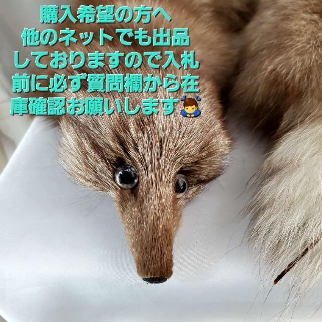 ���݁����A���t�@�[����t���t�H�b�N�X�}�t���[�� �� �����t�@�b�V������ 