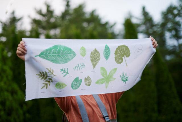 hlIWiʂ^hl2021N11t^   CeA/Ct 