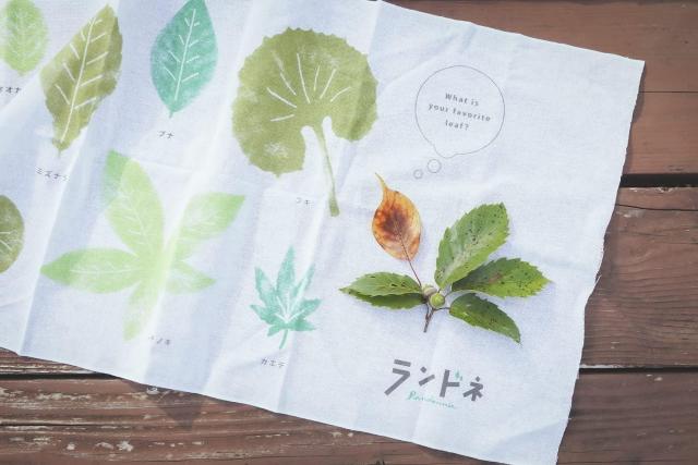 hlIWiʂ^hl2021N11t^  CeA/Ct 