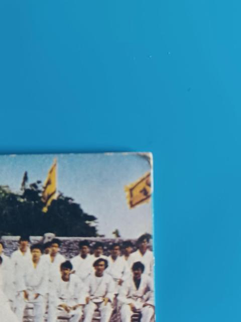 ブルース・リー ミニカード 29「必殺ひじ打ち」ドラゴン ケンリック TOWA 昭和レトロ 当時物 縦7cm幅5cm < トレーディングカード ブルース・リー ミニカード 29「必殺ひじ打ち」ドラゴン ケンリック TOWA 昭和レトロ 当時物 縦7cm幅5cm < トレーディングカードの