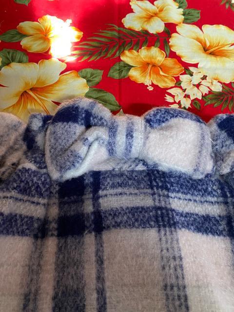 iLIZ LISA߂Ⴉ큙lCr[`FbNXJ[g  uh 