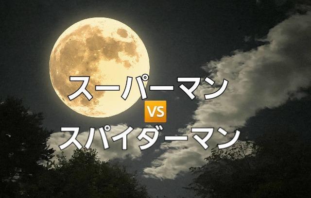 XpC_[}vsX[p[}  ԊOҁ   CD/DVD/rfI 