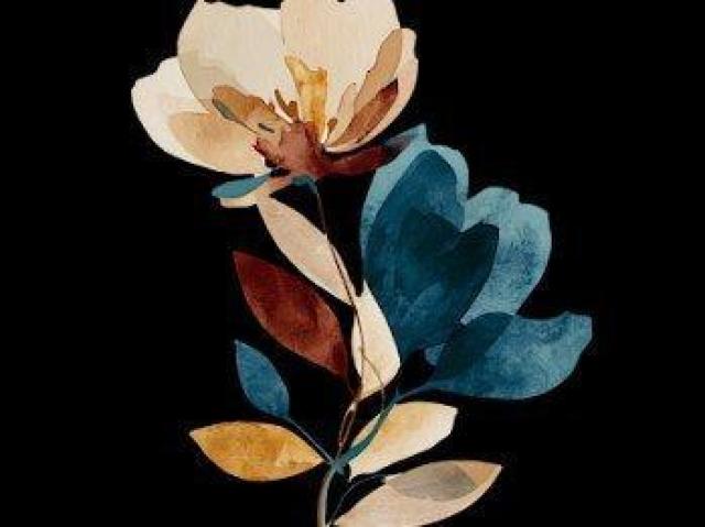 nCNIeB[ TVc炵  VbN  t@bV 