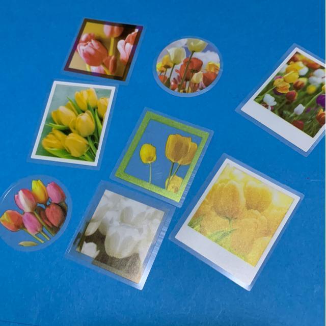 チューリップのシール8枚 < インテリア/ライフ チューリップのシール8枚 < インテリア/ライフの