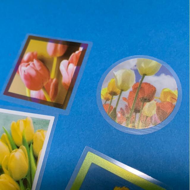 チューリップのシール8枚 < インテリア/ライフ チューリップのシール8枚 < インテリア/ライフの