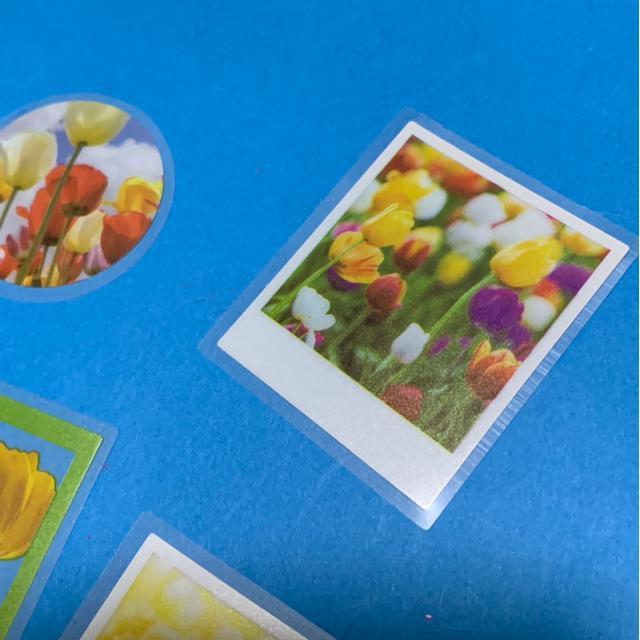 チューリップのシール8枚 < インテリア/ライフ チューリップのシール8枚 < インテリア/ライフの