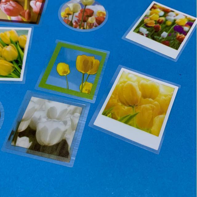 チューリップのシール8枚 < インテリア/ライフ チューリップのシール8枚 < インテリア/ライフの