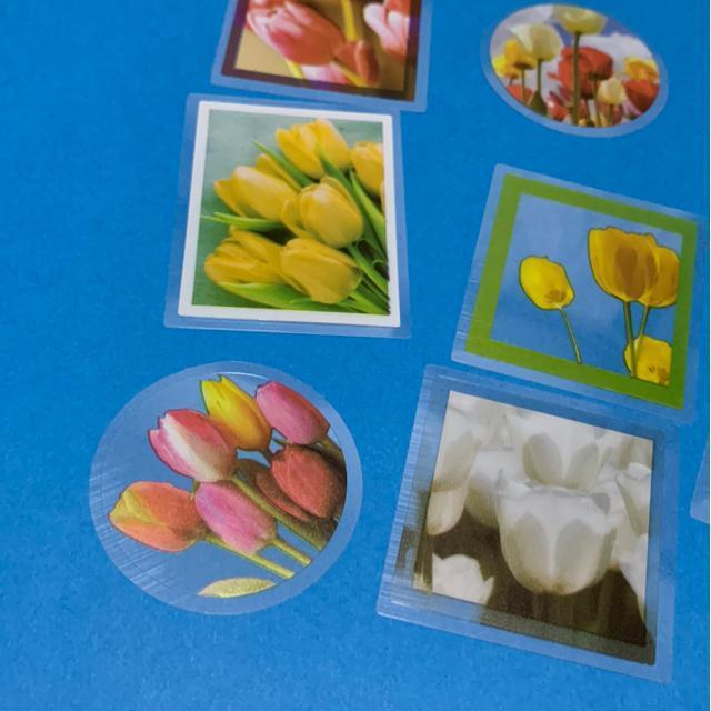 チューリップのシール8枚 < インテリア/ライフ チューリップのシール8枚 < インテリア/ライフの