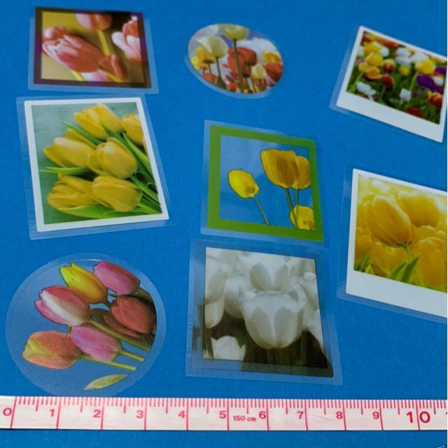 チューリップのシール8枚 < インテリア/ライフ チューリップのシール8枚 < インテリア/ライフの