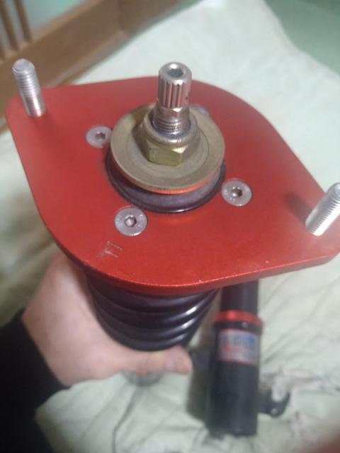 �l�j�Q�P�̃p���b�g(�p���b�g�r�v)�p�@�ԍ��� �� ������/�o�C�N