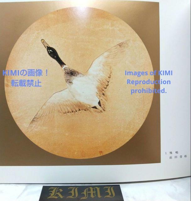 昭和の天井絵 1976 当麻寺 中之坊 松村実秀 本 当麻寺中之坊客殿 Rare Showa era ceiling painti < 本/雑誌  昭和の天井絵 1976 当麻寺 中之坊 松村実秀 本 当麻寺中之坊客殿 Rare Showa era ceiling painti < 本/雑誌の