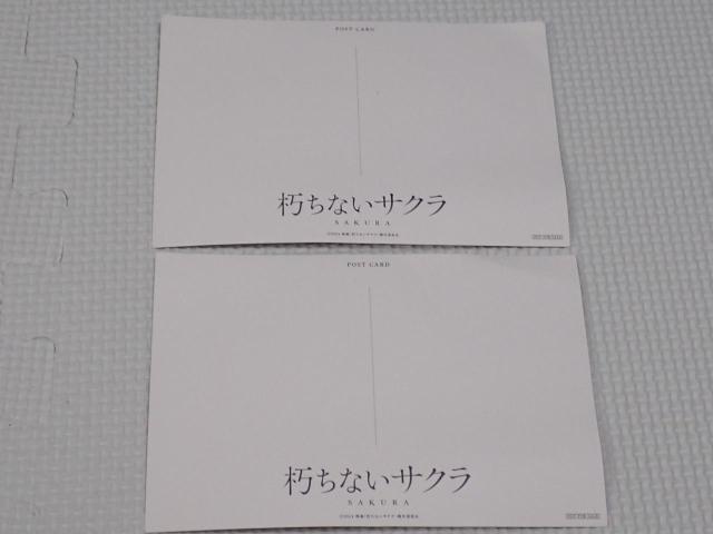 ポストカード 朽ちないサクラ 2枚セット 入場者特典 杉咲花 < ホビー  ポストカード 朽ちないサクラ 2枚セット 入場者特典 杉咲花 < ホビーの