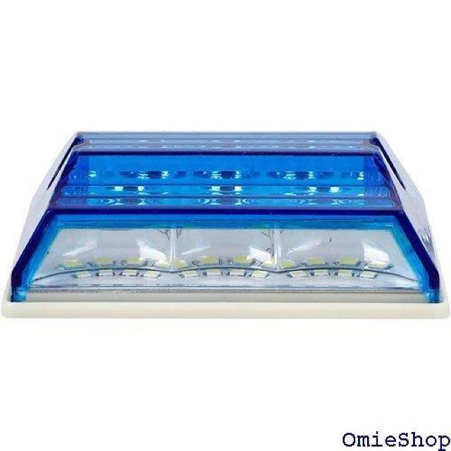 24V gbN p p^ 12 LED TCh }[ Chv _ECg h p u[ 10Zbg 503  /oCN