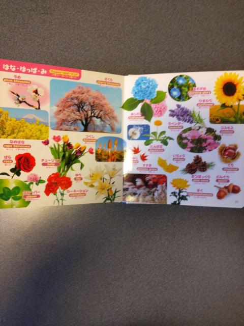 ͂߂Ă̐} I[J[ 0΁`4Ό 蕨 Hו   {/G 