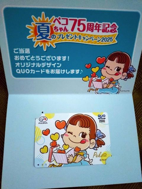 sƂ؂2000~QUOJ[h  `Pbg/ 