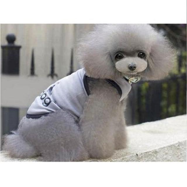 adidog bV^Ngbv S O[Vi `2kg  ybg/|/| 