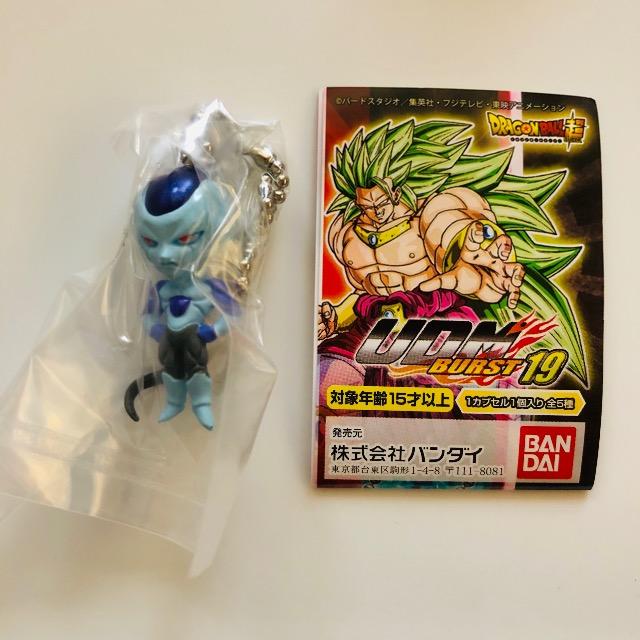 hS{[ UDM BURST19 ŏI`ԃtXg  Aj/R~bN/LN^[ 