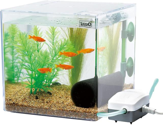 テトラ (Tetra) 水槽 PL-17KB 水槽 アクアリウム < ペット/手芸/園芸  テトラ (Tetra) 水槽 PL-17KB 水槽 アクアリウム  < ペット/手芸/園芸の