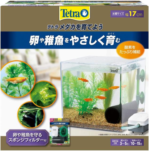 テトラ (Tetra) 水槽 PL-17KB 水槽 アクアリウム < ペット/手芸/園芸  テトラ (Tetra) 水槽 PL-17KB 水槽 アクアリウム < ペット/手芸/園芸の