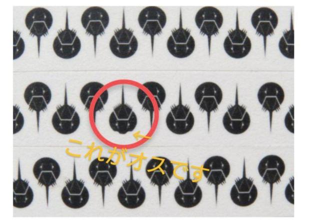 ���R���}���s�@�J�u�g�K�j�����ف@�I���W�i���@�X�L���O�e�[�v �� �C���e���A/���C�t�� 