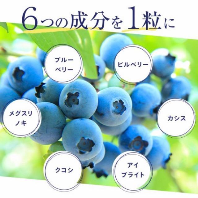 ブルーベリー サプリメント   1年分  アントシアニン ビタミン 健康食品 < グルメ/ドリンク  ブルーベリー サプリメント   1年分  アントシアニン ビタミン 健康食品 < グルメ/ドリンクの