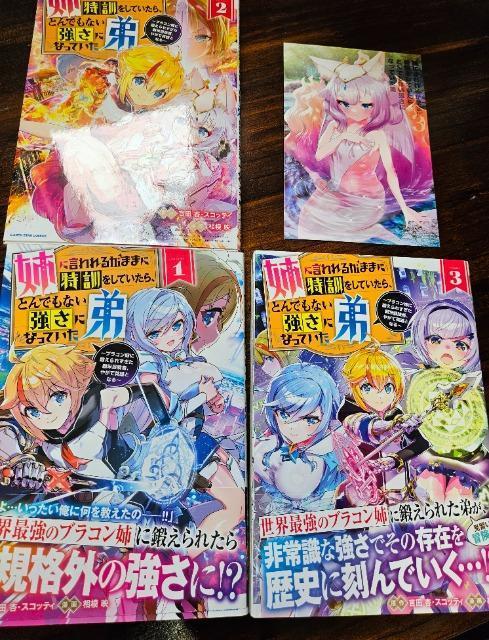 姉に言われるがままに特訓していたら、とんでもない強さになっていた弟 1~3巻 < アニメ/コミック/キャラクター  姉に言われるがままに特訓していたら、とんでもない強さになっていた弟 1~3巻  < アニメ/コミック/キャラクターの