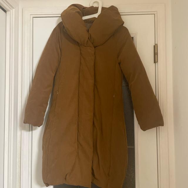 YEVS �u���E���@�����O�_�E���@S�T�C�Y  �� �����t�@�b�V������ 