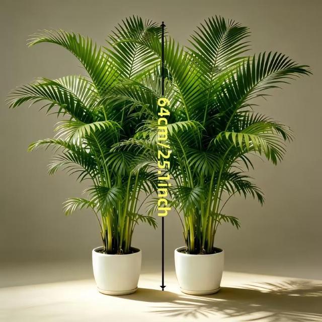 爆ヤス価格1290円★全シーン対応人工ヤシの木(1本)|リアルな葉を持つクラシックな植物形状で、ヤシの自然な成長を再現 < インテリア/ライフ 爆ヤス価格1290円★全シーン対応人工ヤシの木(1本)|リアルな葉を持つクラシックな植物形状で、ヤシの自然な成長を再現 < インテリア/ライフの