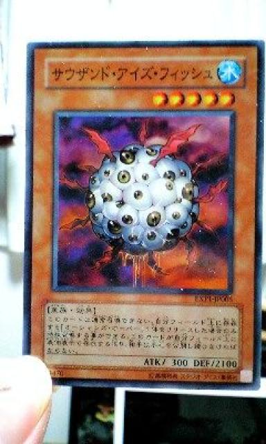 遊戯王【水・サウザント・アイズ・フィッシュ】 < トレーディングカード  遊戯王【水・サウザント・アイズ・フィッシュ】  < トレーディングカードの