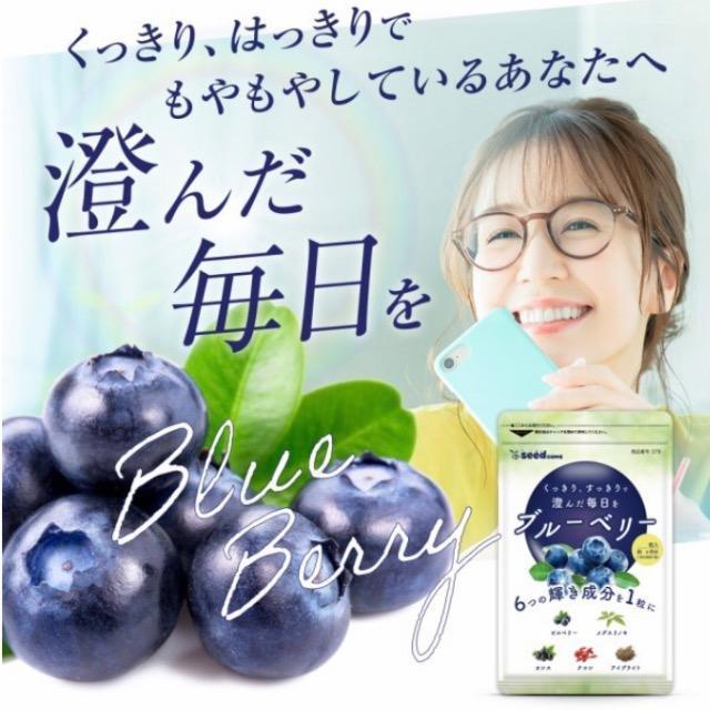 ブルーベリー サプリメント 約3ヵ月分 アントシアニン ビタミン 健康食品 < ヘルス/ビューティー  ブルーベリー サプリメント 約3ヵ月分 アントシアニン ビタミン 健康食品 < ヘルス/ビューティーの
