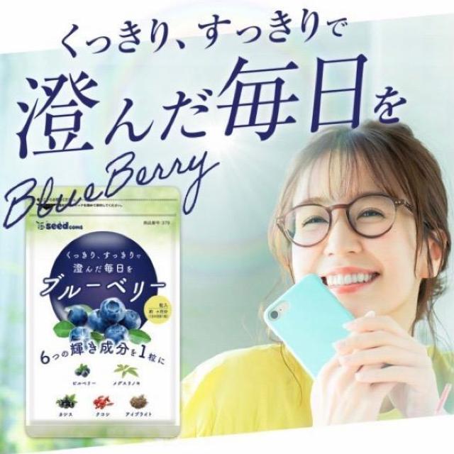 ブルーベリー サプリメント 約3ヵ月分 アントシアニン ビタミン 健康食品 < ヘルス/ビューティー  ブルーベリー サプリメント 約3ヵ月分 アントシアニン ビタミン 健康食品 < ヘルス/ビューティーの