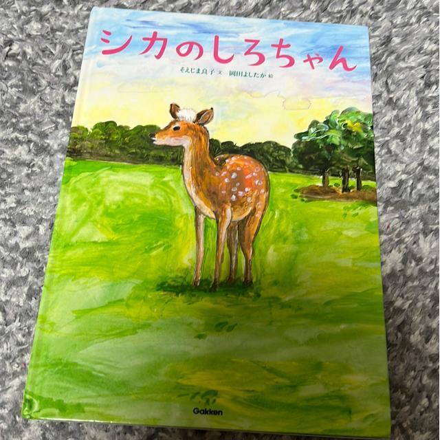 �i�G�{�j�V�J�̂��낿���  �� �{/�G���� 