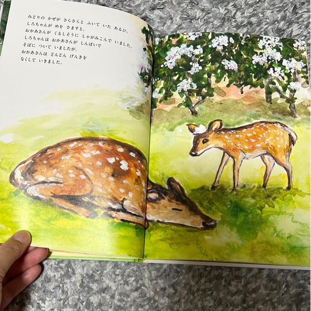 �i�G�{�j�V�J�̂��낿��� �� �{/�G���� 