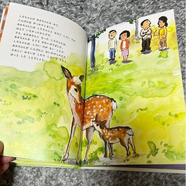 �i�G�{�j�V�J�̂��낿��� �� �{/�G���� 