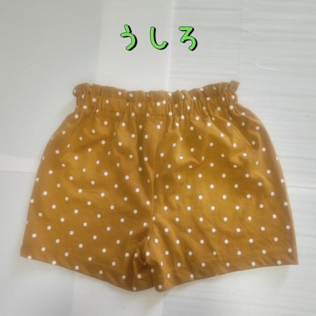 }X^[hJ[̃V[gpc TCY90  LbY/xr[ 