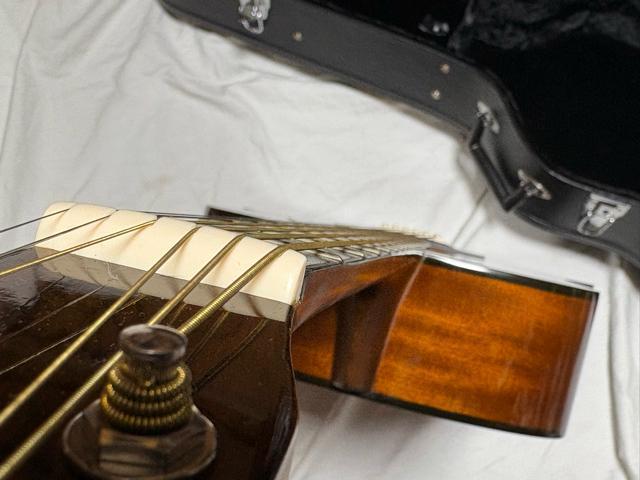 Morris AR[XeBbNM^[@MD256TS P[Xt1926-01-5  zr[ 