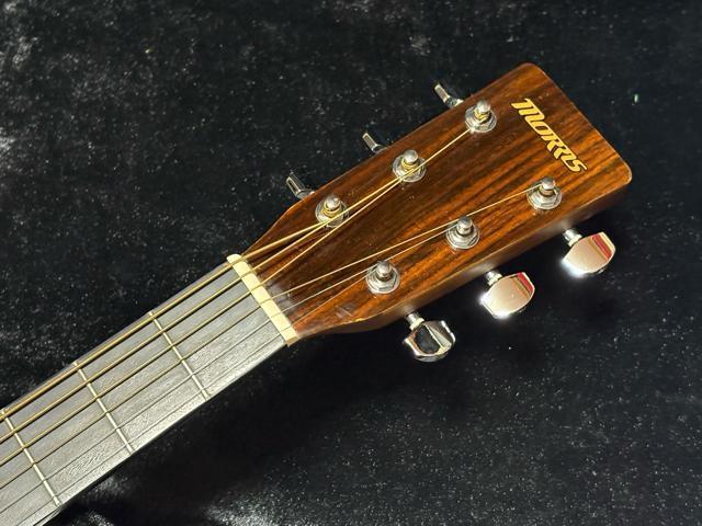 Morris AR[XeBbNM^[@MD256TS P[Xt1926-01-5  zr[ 